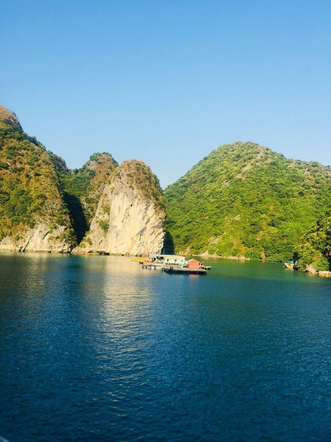 Отель Flamingo Luxury Cruises Халонг Экстерьер фото